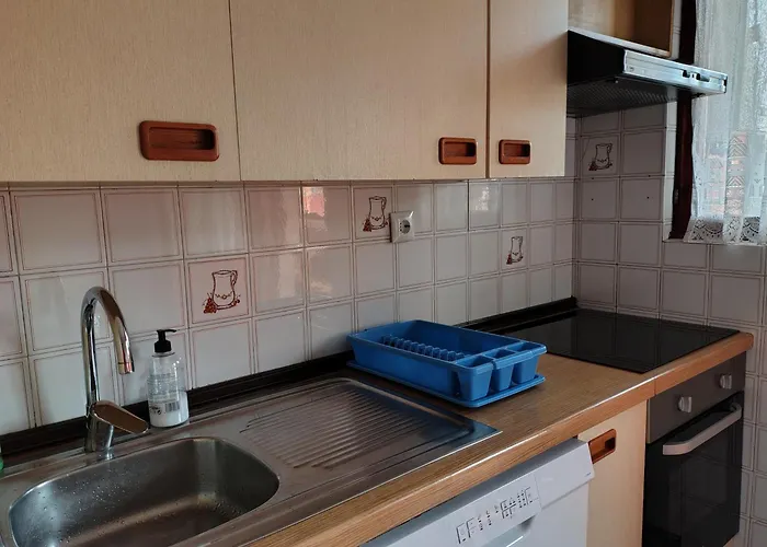 Apartamento La Terraza Del Naranco - 3 , Parking Y Wifi Free